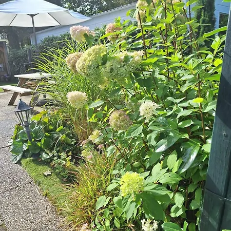 Chalet Vacation Station I Getaway In Voorthuizen